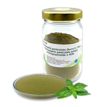 High Quality Grade 10% Andrographolide (Andrographis Paniculata Extract Powder)  Wild Cultivated Thailand Herbal Extract - KAEWMUNGKORNPHAESAJ CO., LTD. - Thailand