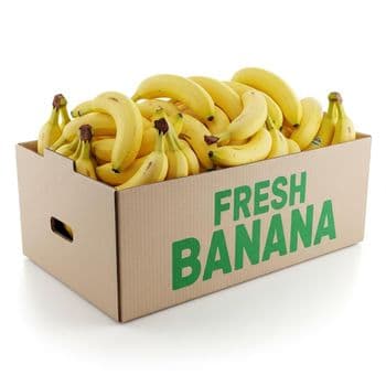 Fresh Banana Naturally Sweet Tropical Fruit With Excellent Eating Experience For Fresh Produce Distribution - TOSOH INTERNATIONAL - South Africa