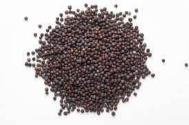 BLACK MUSTARD   Mustard Seeds (Black)  Small Mustard Seeds Packaging 25kg pp - MSQUARE TREND - India