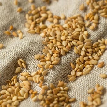 Grade Bulk Flavor Processed Nutty Oil Rich Oil Rich Raw Sesame Seed White Nutty High yield Kernel White Bulk International - TOSOH INTERNATIONAL - South Africa