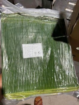 Frozen banana leaves Texture Pliable Source Trusted Farms Material banana leaves Place of Origin Vietnam Type Frozen banana leaves - HAO QUANG COCONUT ONE MEMBER COMPANY LIMITED - Vietnam