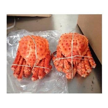Wholesale Cheap Price Best Quality Live Red king crab For Sale Worldwide Exports - Exigentelaxia Unipessoal Lda - Portugal