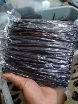 Premium Indonesian Vanilla Beans - Grade A Gourmet Planifolia (14cm+ / 25-30% MC) - Nau Indo supply - Indonesia