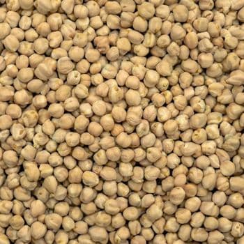 Protein Rich Chickpeas Agricultural Commodity With Excellent Hydration Quality For Wholesale Supply And Export Buyers - TOSOH INTERNATIONAL - South Africa
