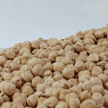 100% Natural Chickpeas Clean Sorted Premium Harvest With Excellent Cooking Performance For Bulk Import - TOSOH INTERNATIONAL - South Africa