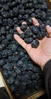 Date Texture Rich Packaging Customizable Quality Control Strict Flavor Natural Sweetness Shelf Life Preserved During - Akib - Bangladesh