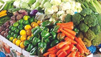 Agriculture Products - MEME GROUP COMPANY LTD - Cameroon