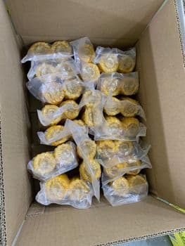 VACUUM PACKED SWEET CORN ON COBS (TWIN COBS) Packs Per Box 12 Pack Weight 450 Gm (+/-10%) Load Ability With Pallet 4080 - Mb GLobal Industry - India