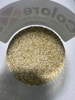 Quinoa - Colorexa SAC - Peru