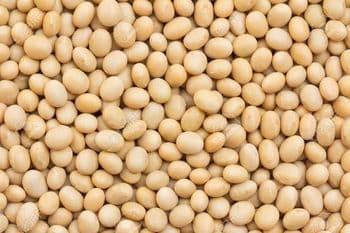 Soya Beans - Climaton Limited - Kenya