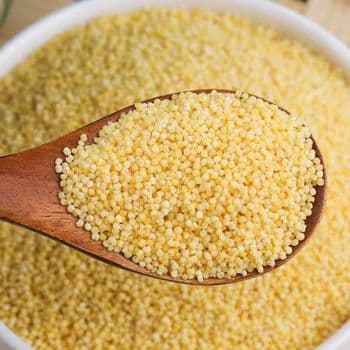 Wholesale Polished White Millet Groats Healthy and Delicious Dish with Exquisite Aroma and Delicate Taste - Carla Pisselli Commercio - Brazil