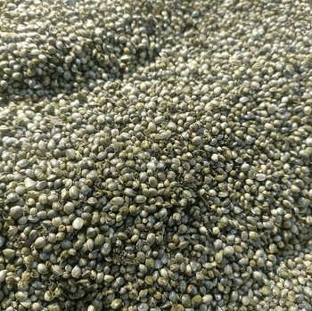 Best Organic Hemp Seeds – Premium Plant-Based Superfood Organic Yes Origin European Union Packaging Size > 500 g - 1000 g - Sosa Merchant Solutions - Austria