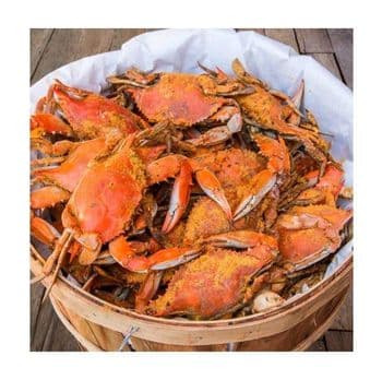 Red Alaskan King Crab/Fresh Frozen and Mud Crabs Red King Crabs Soft Shell Crabs/Blue Crab - Exigentelaxia Unipessoal Lda - Portugal