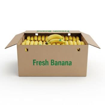 Quality Features Organic Fruit Type Fresh Banana - TOSOH INTERNATIONAL - South Africa