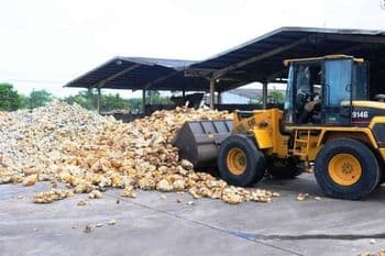 Raw Rubber Origin Ghana Impurity Level Low Physical Form Lump Dry Rubber Content 70–72% Application Tsr, Crepe - UNIVERSAL TOTAL LOGISTICS - Ghana