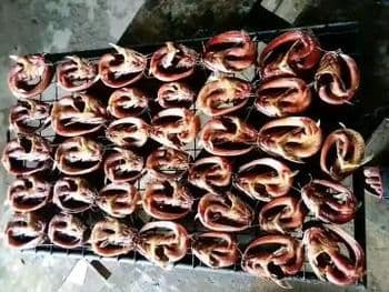 Dried Catfish - Abfamz - Nigeria