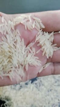 1121 Basmati Rice & Sella Aroma Rich Taste Authentic Texture Exceptional Length Packaging Hygienically Packed Intended Use Daily Cooking And Special Occasions - Ali khan traders - United States