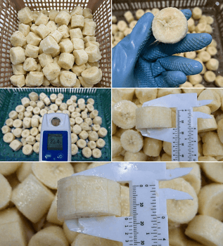Frozen Banana - Lekker Agri Trading - Philippines