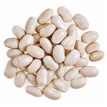 White Kidney Beans Nutrient Rich Pulses Prepared For Bulk Delivery With Consistent Texture And Uniform Bean Structure - TOSOH INTERNATIONAL - South Africa