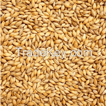 wheat bran Grade A Origin Usa Packaging Jute bag - TRADE NEPAL LLC - United States