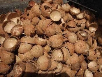 Raw Coconut Shell Color Original Texture Natural Toxicity Non-toxic Purity 100% Natural Aesthetic Rustic Charm Material Coconut Shell - PT Citra Cakrawala Sejahtera - Indonesia