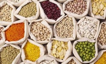 Pulses - Neo Palates Pvt Ltd - India