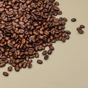 Natural Organic Arabica & Robusta Roasted Coffee Beans Premium Grade 25kg/bag Thailand 12 Months Shelf Life - Carla Pisselli Commercio - Brazil