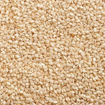 White Unhulled Harvest Harvest Sesame Seed Fresh Supply Processed Export Pure Selected Hulled Harvest Flavor Black Premium - TOSOH INTERNATIONAL - South Africa