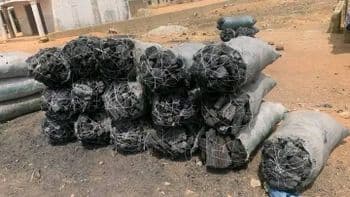 Wood Charcoal Available Delivery Form Bag Weight > 10 kg to 25 kg, > 25 kg, > 5 kg to 10 kg - Starmark Company Limited - Tanzania