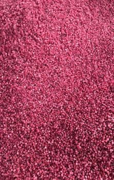 raspberry for jam Origin Uzbekistan Packaging carton box Processing Type frozen Degree of Processing Frozen - Freeze Dried Fruit LTD - Uzbekistan