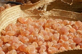 Arabic Gum hashab and Talha Grade AA Type Natural Storage Type dry Weight (kg) 20kg Delivery Form Bag Shelf Life 10years - QTAWA INTERNATIONAL BUSINESS LTD - Nigeria