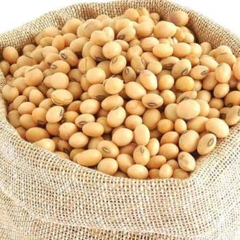 Wholesale Soya Beans Style Dried Place Of Origin Kenya Place of Origin Kenya Cultivation Type Common Processing Method Machine Cleaned - DABELU ENTERPRISES LIMITED - Kenya