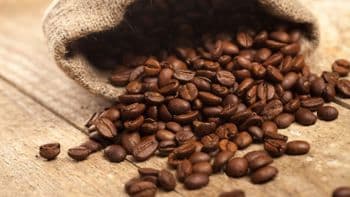 Wholesale Premium Light Roast Ground Organic Robusta Coffee Beans Vietnam OEM Service Best Price Bulk Export Caffeinated - Carla Pisselli Commercio - Brazil