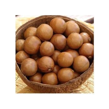 Macadamia Nuts Raw Salted Roasted Maca Powder Healthy Food Macadamia in Shell - GOLDEN STAR BV - South Africa