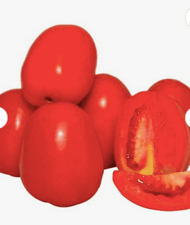 Wholesale Supplier of Fresh Tomato / Cheap Fresh Tomato. Fresh Tomato For Sale. Free Shipping Worldwide - Almaa SCS - Belgium