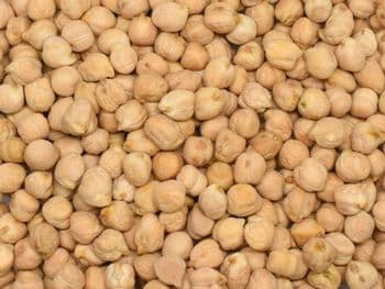 Chickpea Quality First Class Type 9 mm - 8mm - 7 mm Packaging 1 kg - 2.5 kg - 5 - TM Terra Trade - Turkey