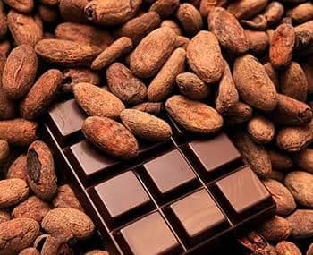 Cocoa bean Ph Level 5.2–6.5 Moldy Beans Max 3% Flat Beans Max 1–2% Slaty Beans Max 3–5% Grade Grade I (premium) Foreign Matter Max - BF GLOBAL TRADING (PTY) LTD - South Africa