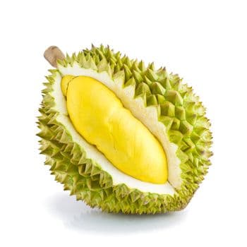 Fresh Durian High Pulp Content Tropical Fruit Offering Up To 35% Edible Flesh For Importers And Wholesale Supply - TOSOH INTERNATIONAL - South Africa