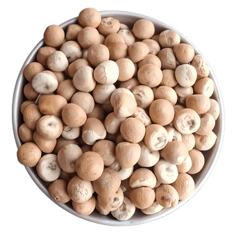 Dried Betel Nut (Supari), Areca nut - Sadeq Trade International - Bangladesh