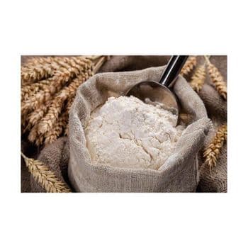 Wholesale Wheat Flour bulk supply cheap price high nutrition premium flour Bulk supply Wheat - MASI TRADING GMBH - Germany