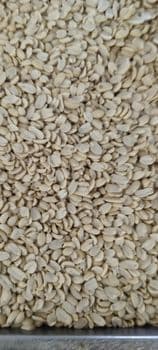 Split Roadted Peanut Origin India Form Blanched Degree of Processing Roasted - Ghanshyam Traders - India