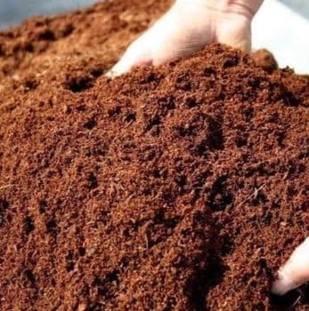 Coco Peat Aeration Excellent Origin Coconut Husk Water Retention High Function Growing Medium Antifungal Properties - SK COIR - India