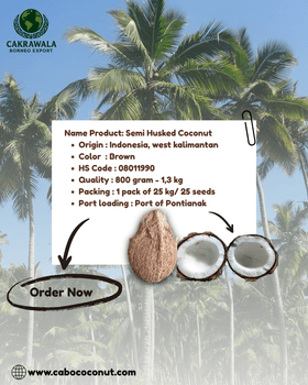 Semi Husked Coconut Color brown Loading Port Pontianak Certifications Coo, Phytosanitary Origin Indonesia, West Kalimantan - PT CAKRAWALA BORNEO EXPORT - Indonesia