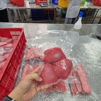 Premium Frozen Yellowfin Tuna Steak - IQF, IVP - TBESTPRO TRADING INVESTMENT COMPANY LIMITED - Vietnam