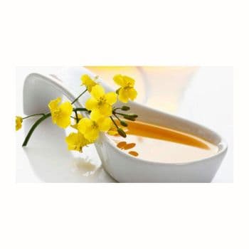premium vegetable canola oil for salad dressing baking frying and roasting heart healthy cooking oil with low saturated fat ideal for healthy lifestyle diets - SATTER FOOD AND BEVERAGE - Netherlands