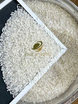 Calrose Medium Rice, High Quality, 5% Broken Max. Moisture (%) 14.5% MAX Size Medium Grain Rice - RICE & MORE CO., LTD - Vietnam