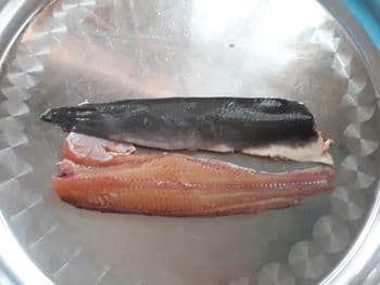 Walking Catfish Origin Vietnam Antibiotic Use Free Chemical Additives Free Product Type Fish & Fish Products Antibiotic Monitoring Strictly Monitored According To Antibiotic Form Farmed - Plexim JSC - Vietnam