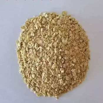 Wheat Grain Features GMO-Free, Gluten-Free, Organic Packaging Size > 10 kg to 25 kg, > 25 kg Type Durum Wheat, Einkorn Wheat, Emmer, Soft Wheat - BF GLOBAL TRADING (PTY) LTD - South Africa