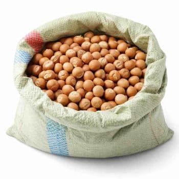 Indonesian Areca Nut Shape Whole Grade Premium Origin Indonesia Features Organic Size 80-85 / 90-95 Product Type Spices Place of Origin Indonesia - PT Sumber Niaga Alam Sejahtera - Indonesia