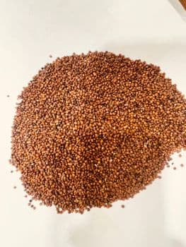 Red Quinoa Seeds, Regular Size, Purity - 99.9 %, Indian Origin - Sinhal Herbs  - India